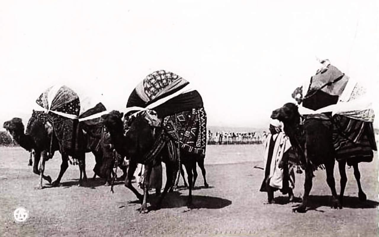 Images d'Algerie 130.jpg